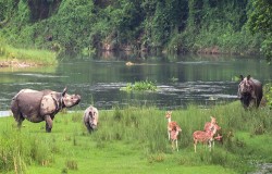 Wildlife Safari & Rafting
